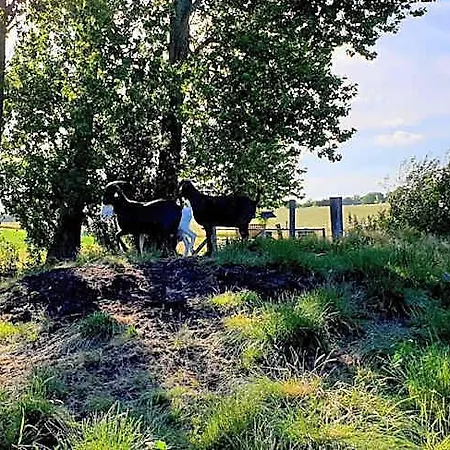 Otel Farmors Hus Boeslunde
